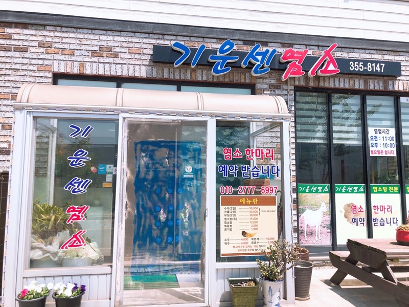 기운센염소 갤러리 2
