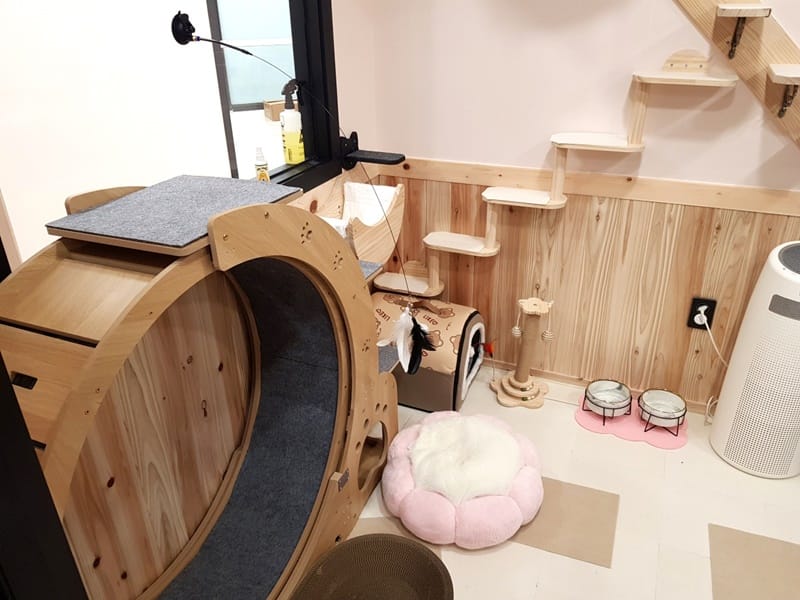 냥멍살롱 갤러리 10