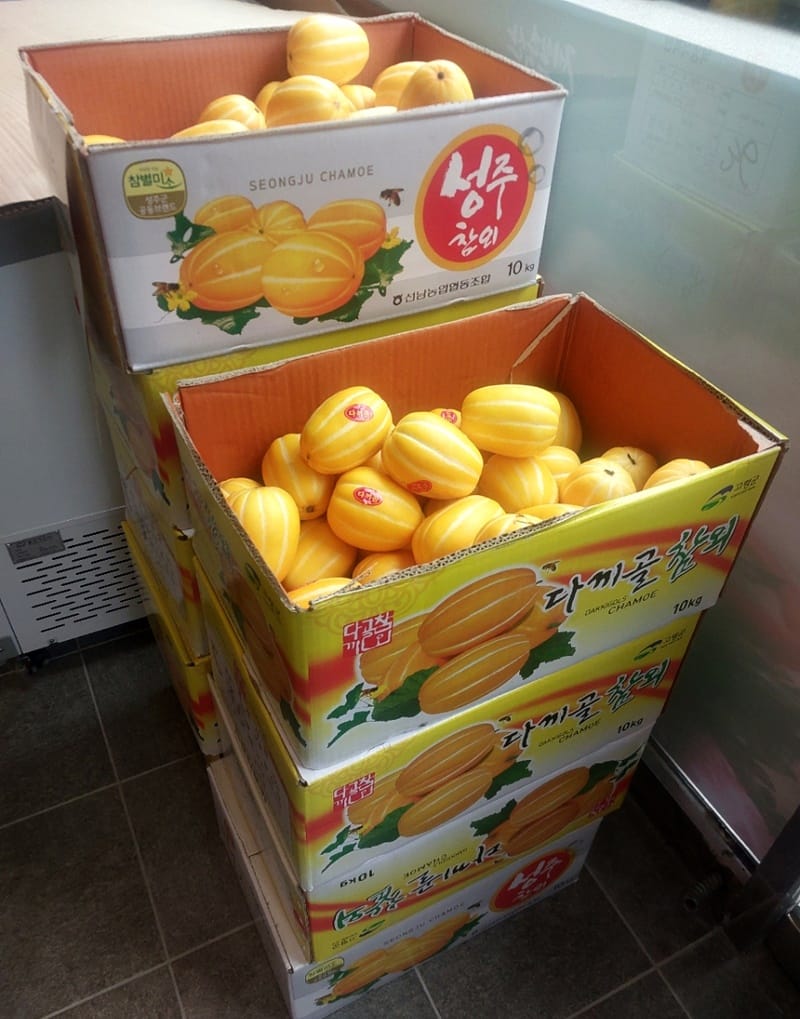 제일축산 갤러리 5