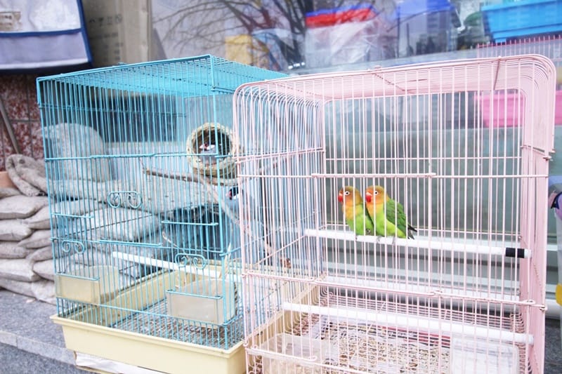 우리수족관 갤러리 14