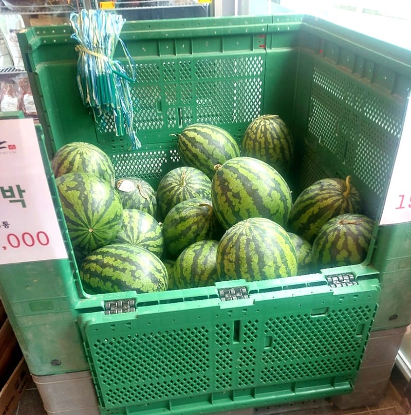 제일축산 갤러리 6