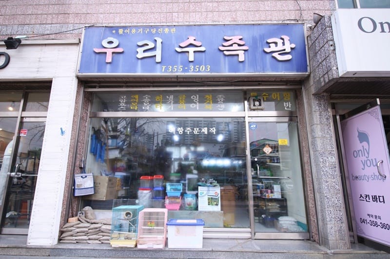 우리수족관 갤러리 1