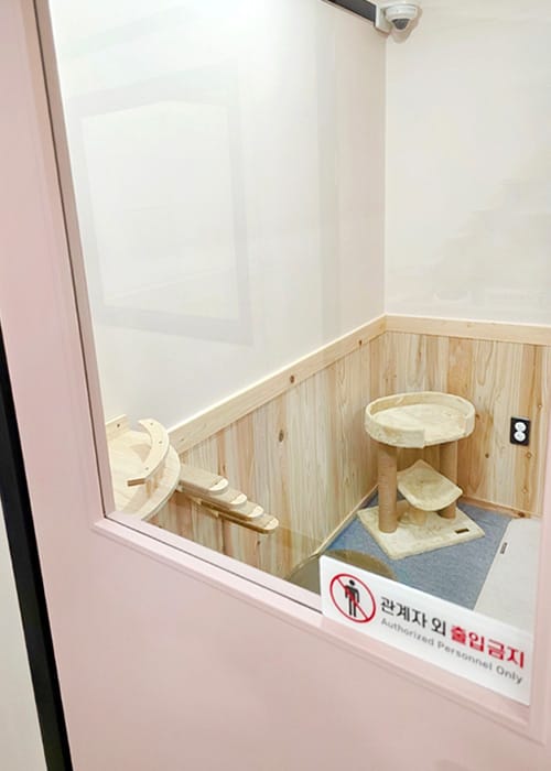 냥멍살롱 갤러리 8