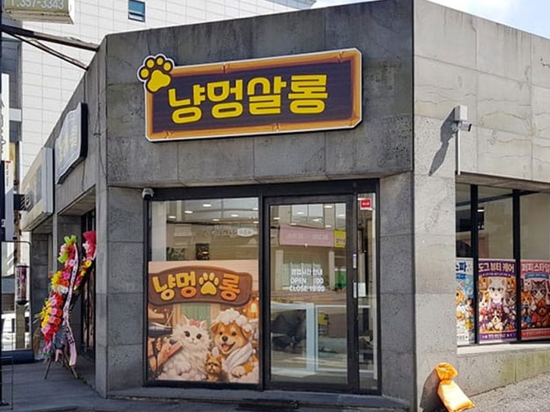 냥멍살롱 소개 이미지 1