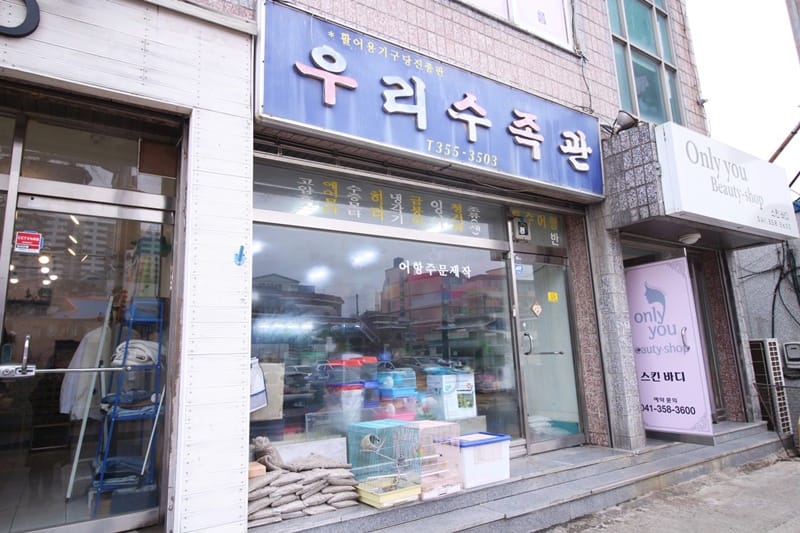 우리수족관 갤러리 2