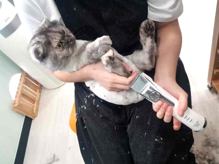 냥멍살롱 갤러리 18