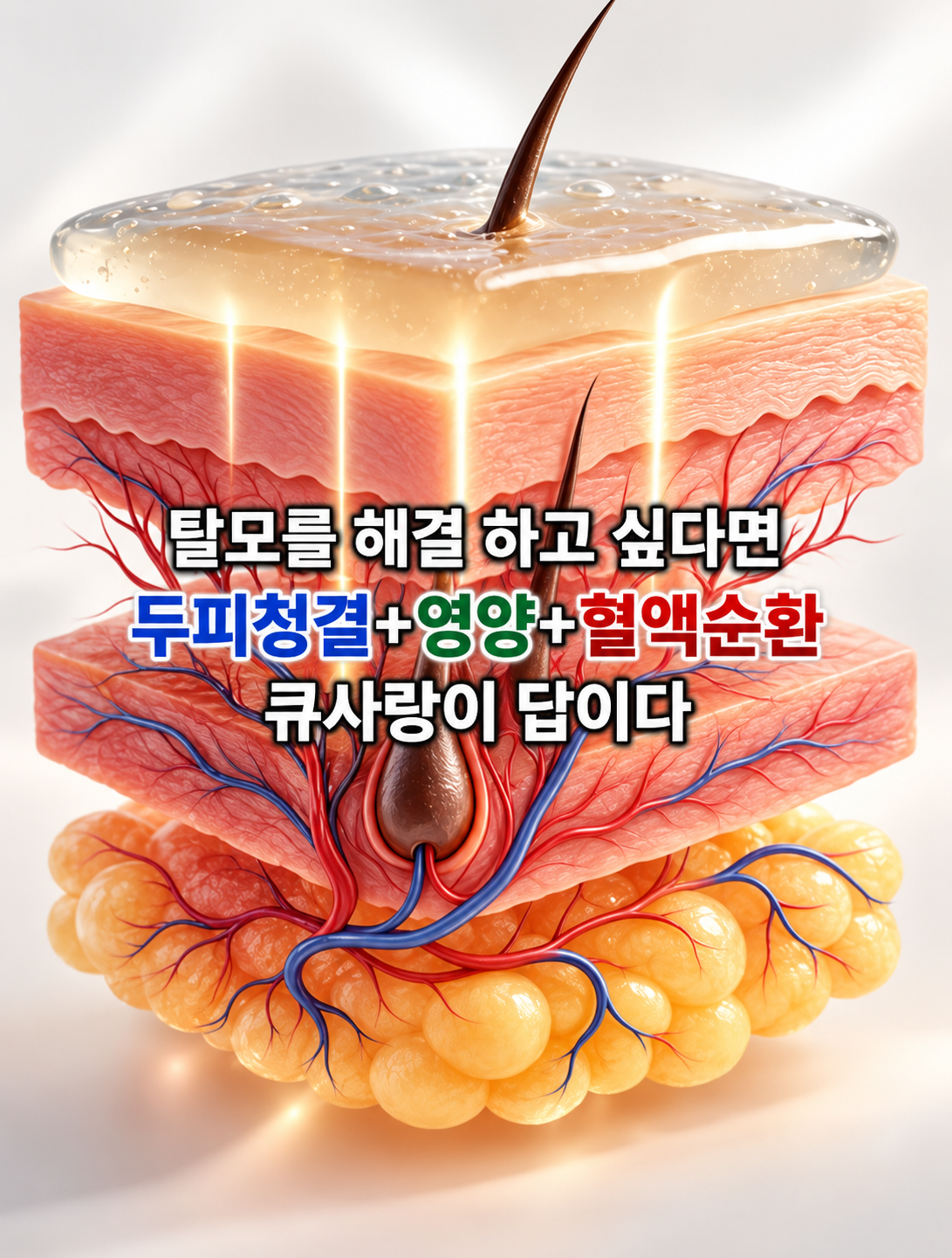 큐사랑신평거산점 갤러리 3